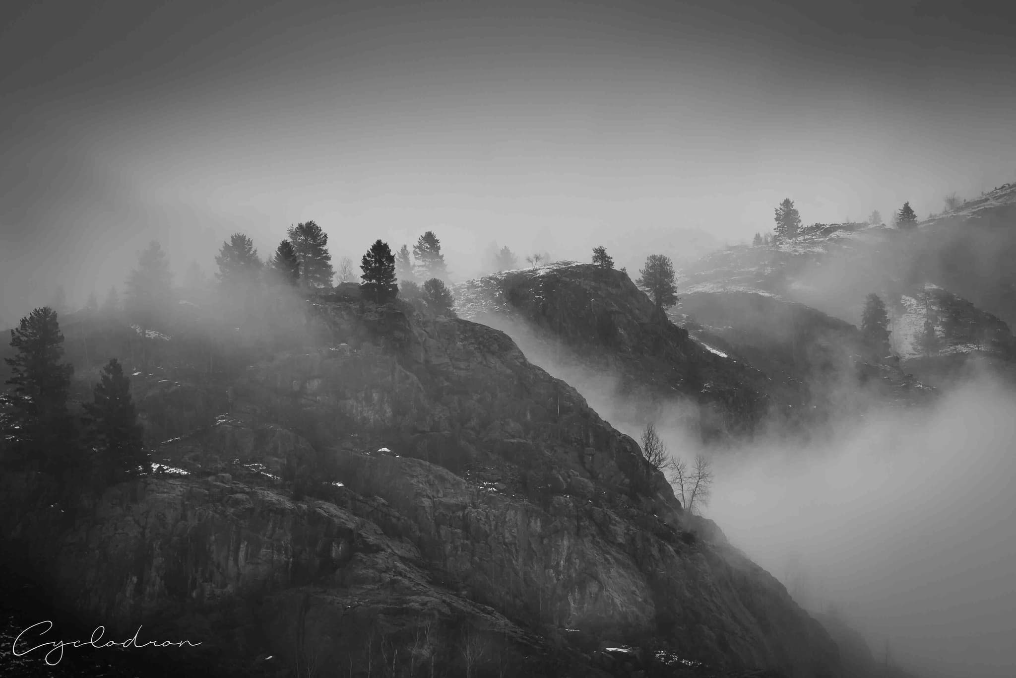 Misty mountain ridges with pine trees in black and white